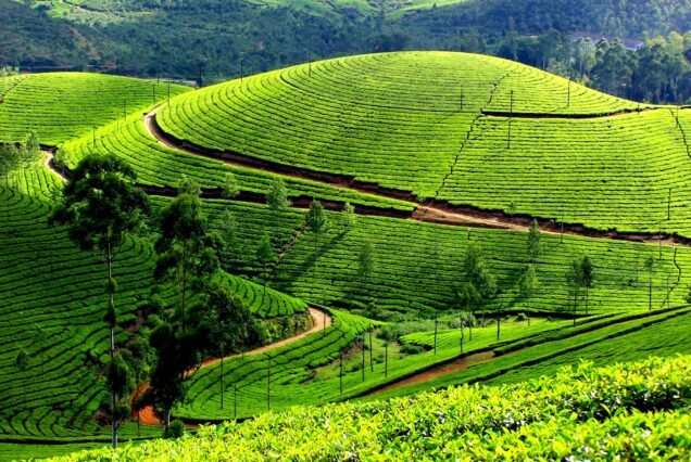 Incredible South India Tour