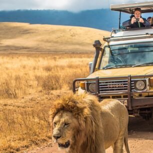 East Africa