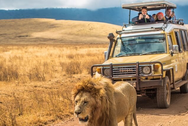 Tanzania Safari Tour 10 Days with Zanzibar
