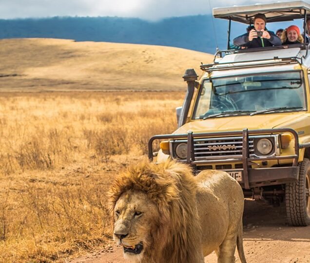East Africa